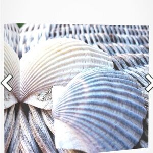 Signed P. Kenney “Coastal Living in Newport, RI” 16x2O Wall Canvas Print